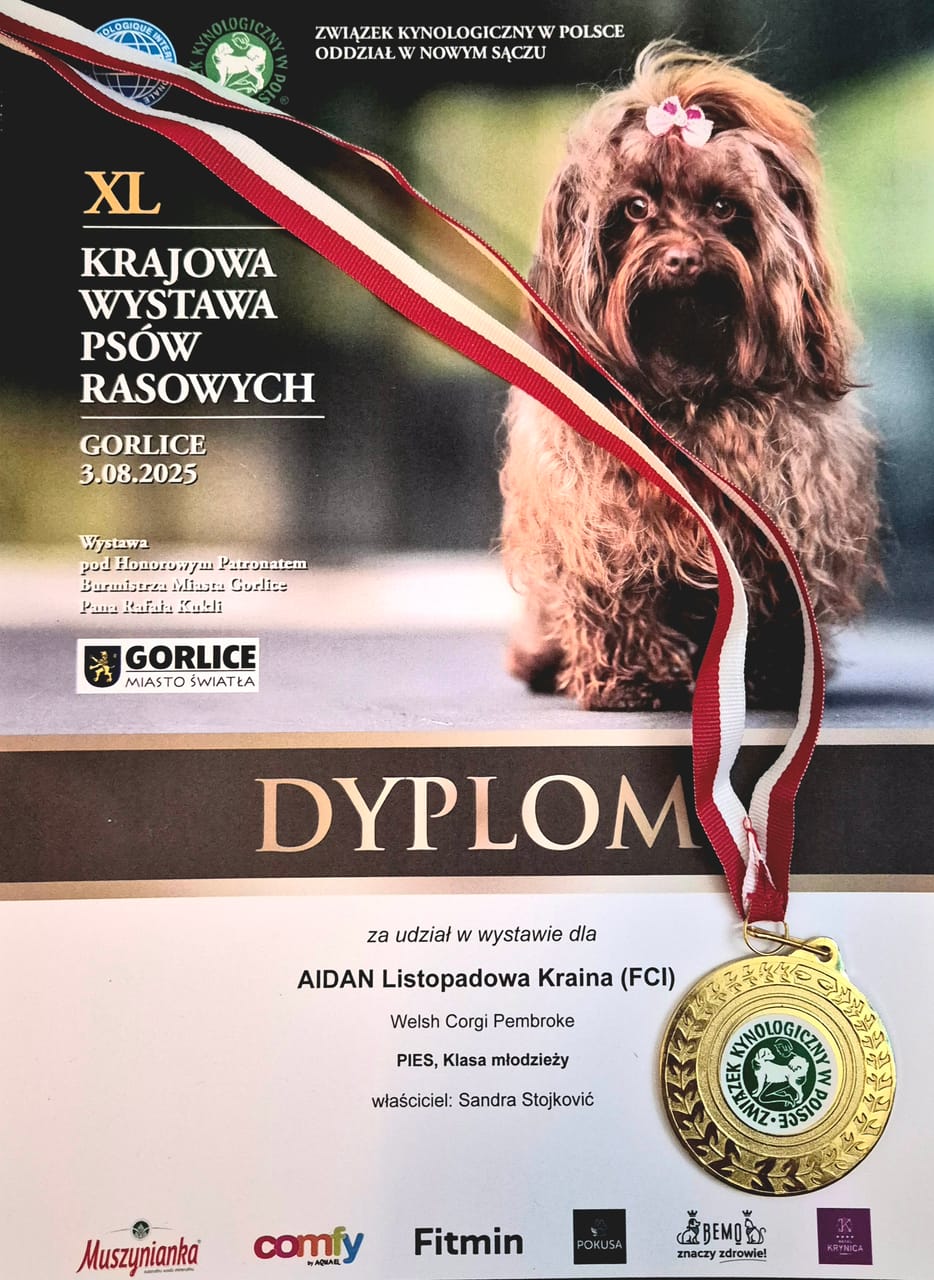 Gorlice — XL Krajowa Wystawa Psów Rasowych (O/Nowy Sącz), 03.08.2025