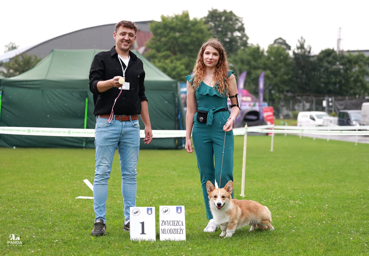 Nowy Targ — XXXIII Krajowa Wystawa Psów Rasowych, 26.07.2025