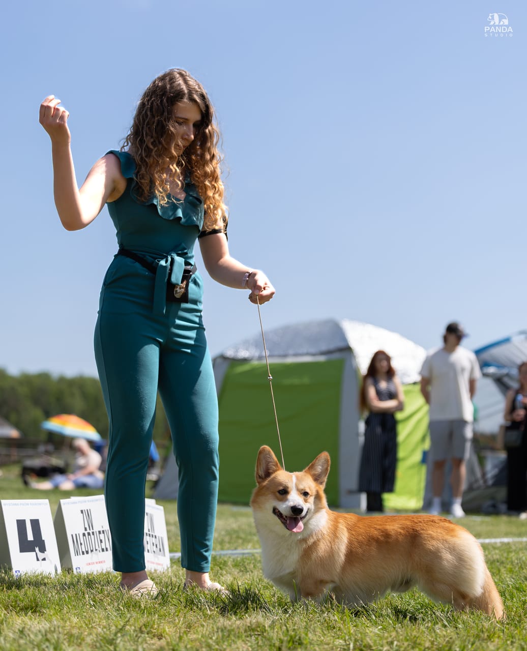 Rzeszów — XVIII Międzynarodowa Wystawa Psów Rasowych, 24.05.2026