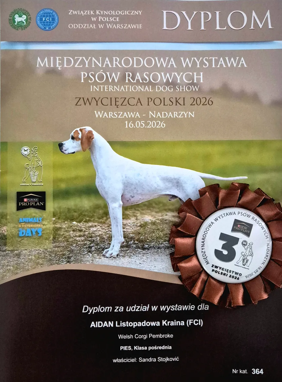 Warszawa-Nadarzyn - Międzynarodowa Wystawa Psów Rasowych, 16.05.2026